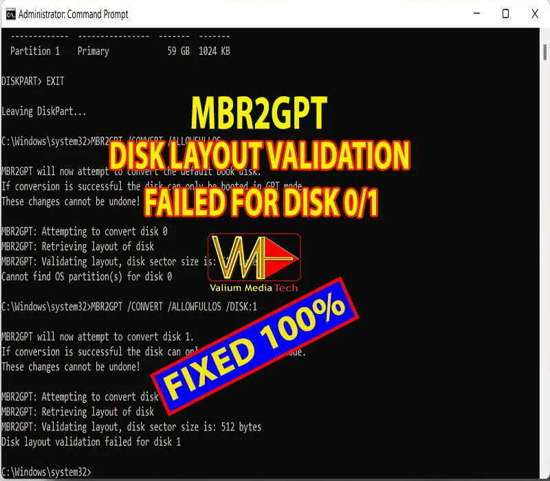 Disk Layout Validation Failed for Disk 1